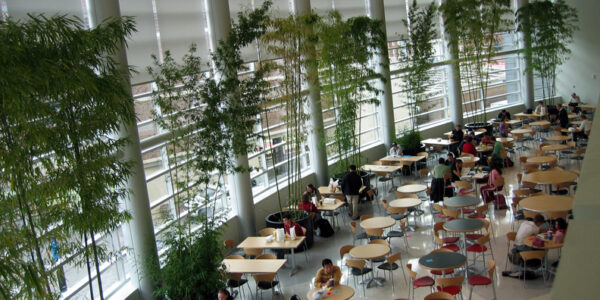 Rethinking Student Center Operations: A Strategic Case for Outsourcing